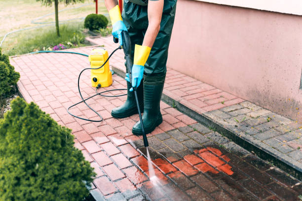 Animal Enclosure Cleaning in Nashville, TN